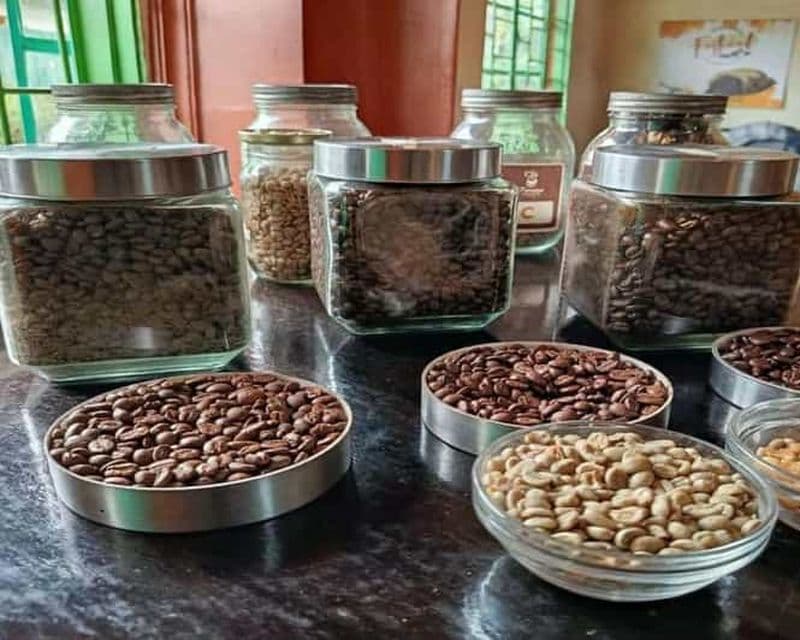 Billet Pemba : visite d'une plantation de café et d'un jardin fleuri