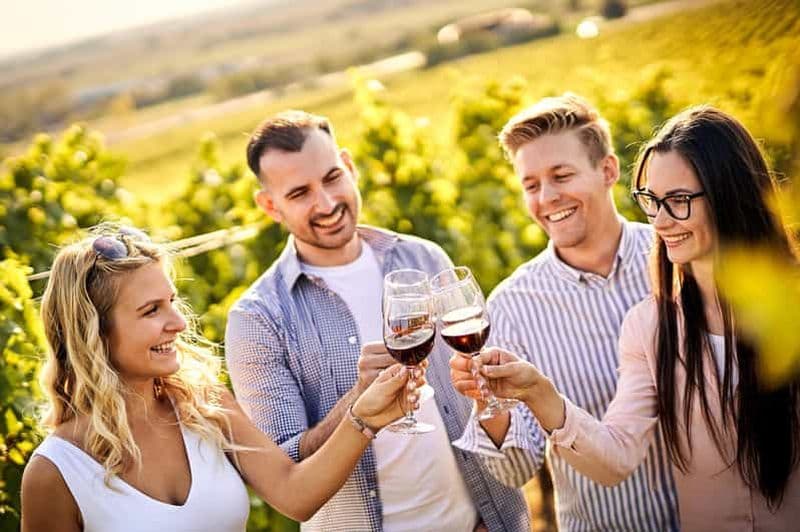 Billet Santiago : Vins de classe mondiale, visite de 4 vignobles et du Tanino