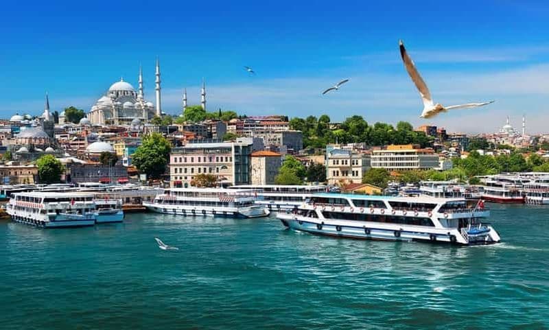 Billet Istanbul : Croisière guidée sur le Bosphore et visite en bus de la Corne d'Or