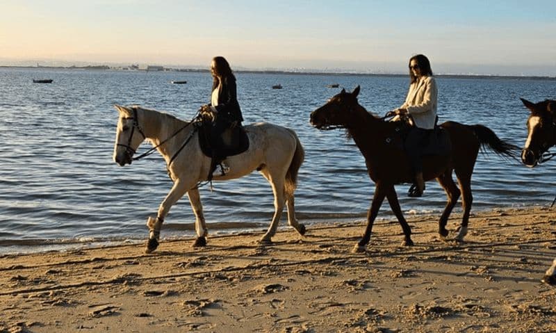 Billet Ras Al Khaimah : aventure à cheval sur la plage