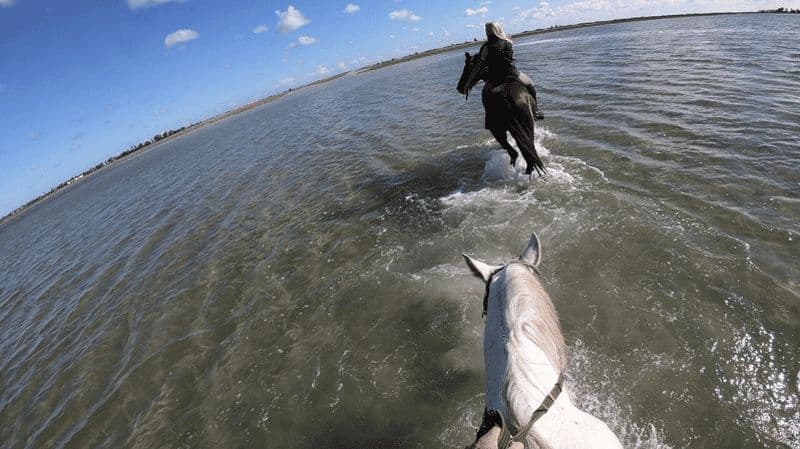 Billet Balade à cheval sur la plage et dans les villages de Djerba