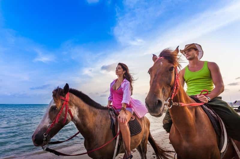 Billet Agadir : randonnée à cheval, visite de la rivière des flamants roses et dégustation de thé