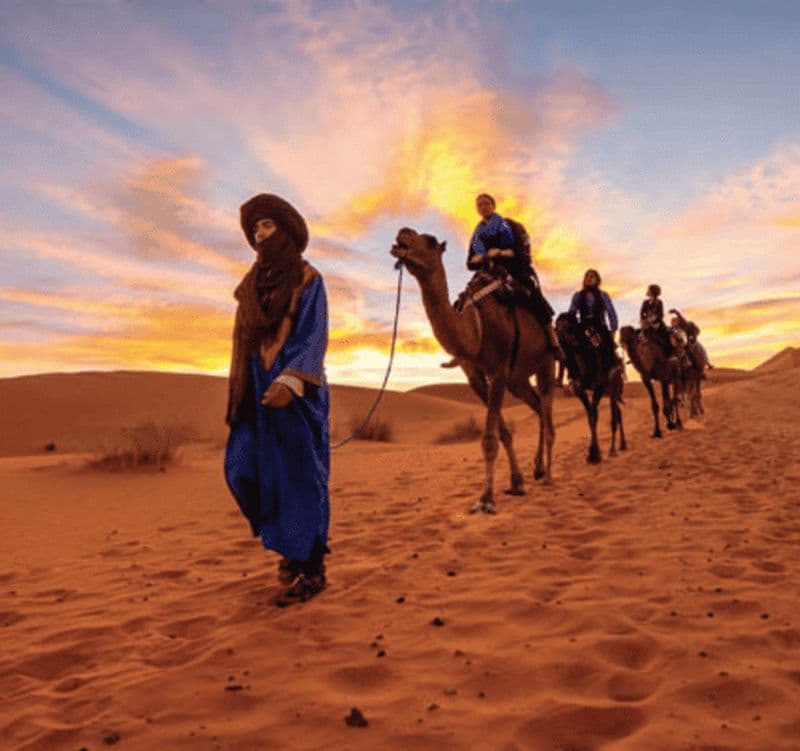 Billet Tozeur : Balade à dos de chameau dans l'oasis de Tozeur. 2 heures