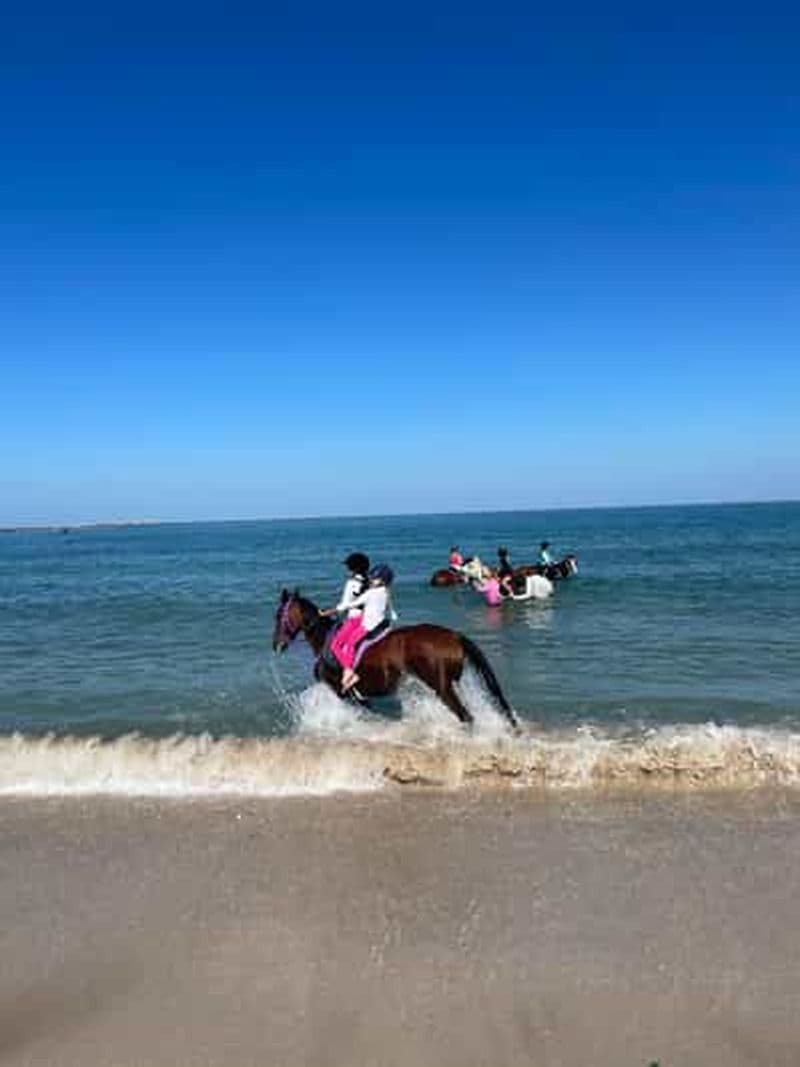 Billet Ras Al Khaimah : Équitation et baignade sur la plage