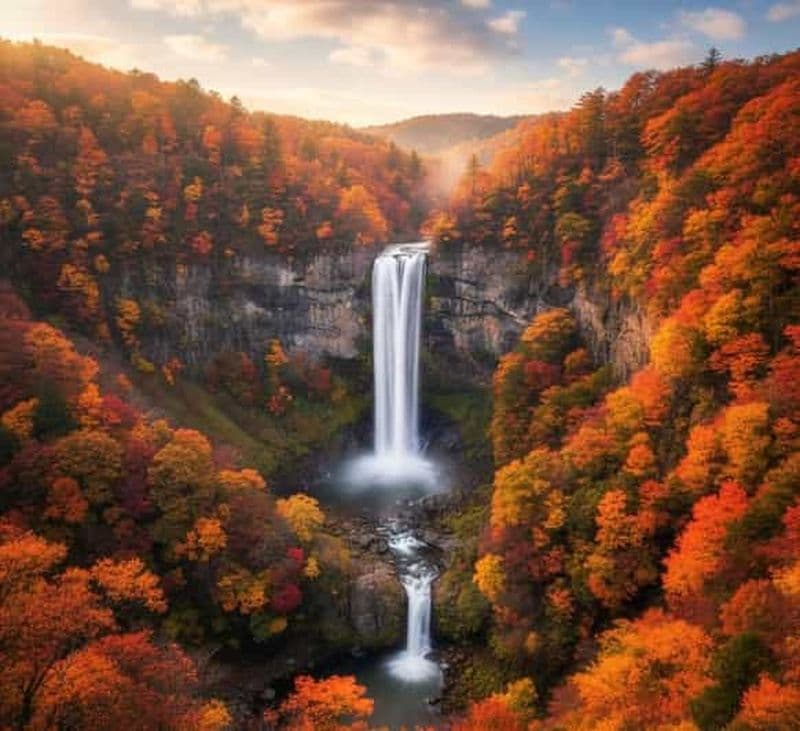 Billet Au départ de Tokyo : excursion privée d'une journée complète au site classé au patrimoine mondial de Nikko