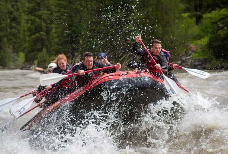 Billet Jackson : aventure en rafting en eau vive de classe 2-3 sur la Snake River