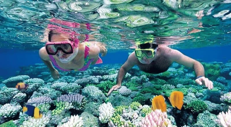 Billet Journée de pêche avec des pêcheurs locaux - depuis la ville de Tanga