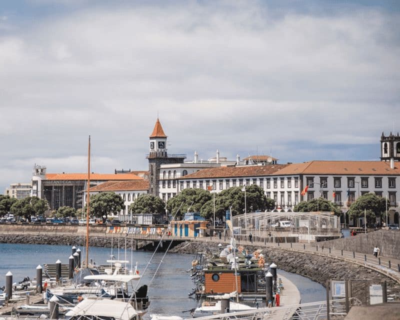 Billet Ponta Delgada : visite citadine et plantation d'ananas
