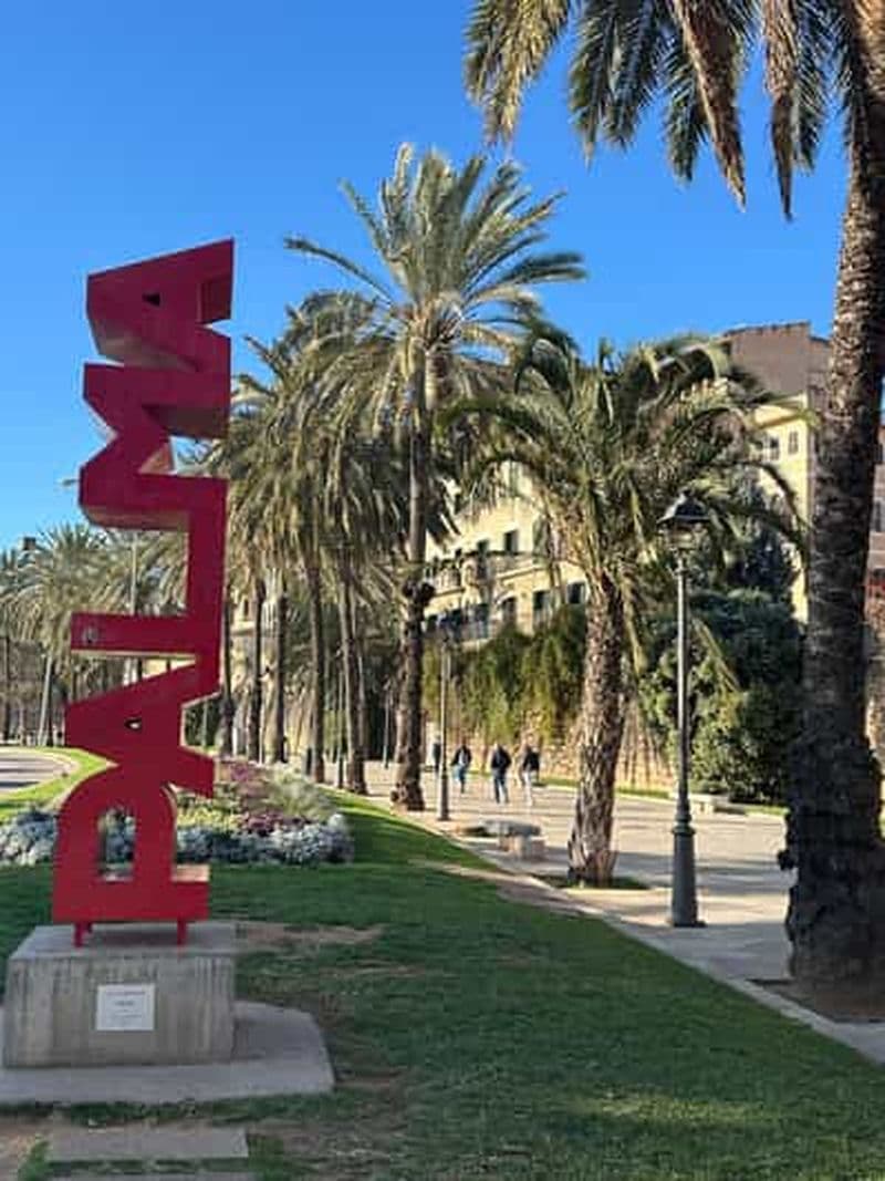 Billet Majorque : randonnées guidées individuelles, ville, côte, amandiers en fleurs