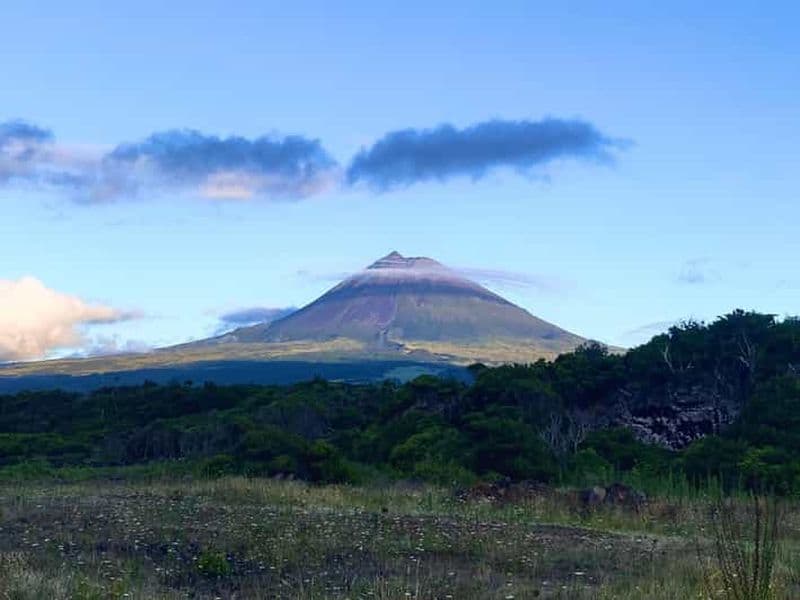 Billet Pico : Découvrez Pico en 1 jour avec déjeuner et dégustation de vin