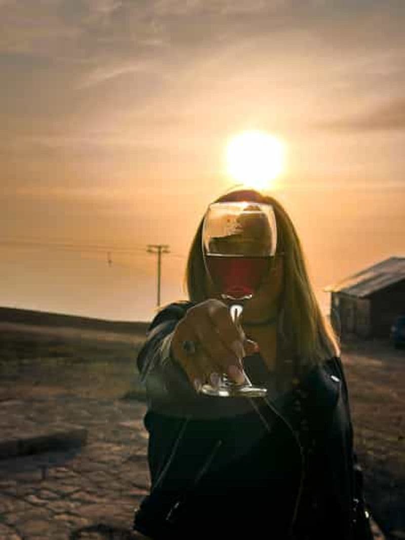 Billet Santiago : Coucher de soleil sur la Cordillère des Andes, Valle Nevado et pique-nique