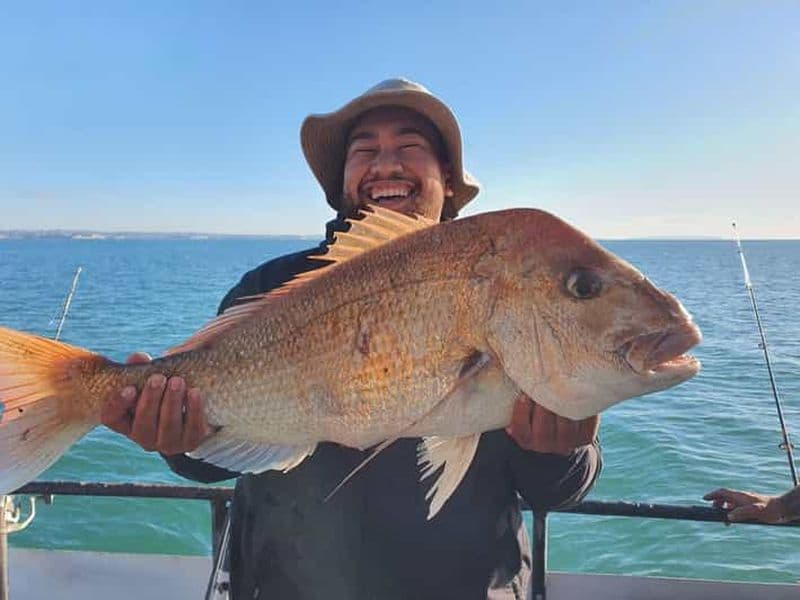 Billet Auckland : sortie de pêche d'une journée complète (7 h - 16 h)