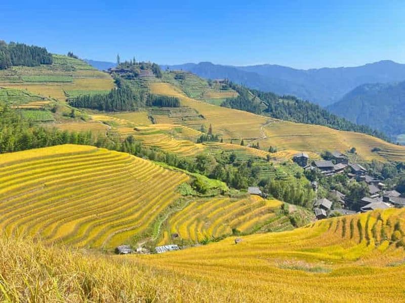Billet Guilin-Nanning : 8 jours pour découvrir la rivière Li, les rizières en terrasses et les chutes de Detian