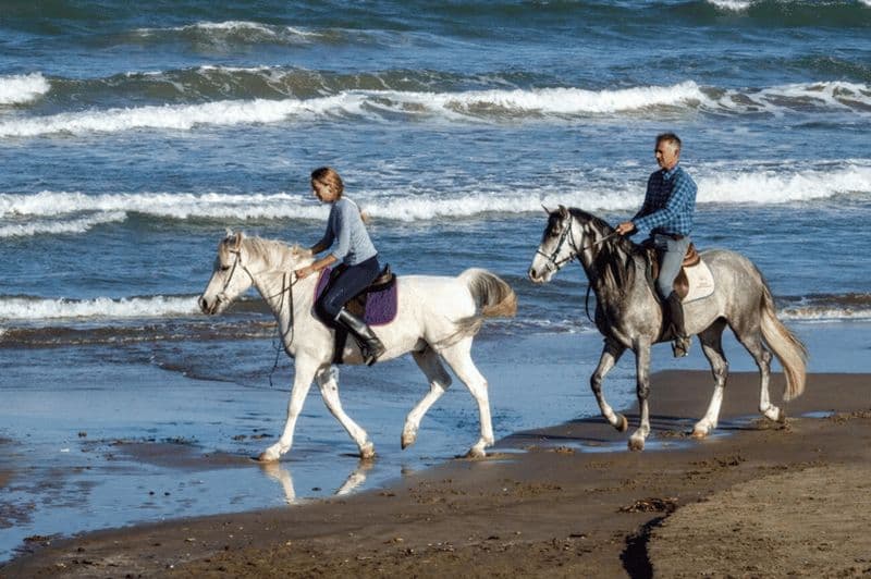 Billet Casablanca : Randonnée à cheval sur la plage avec transferts à l'hôtel