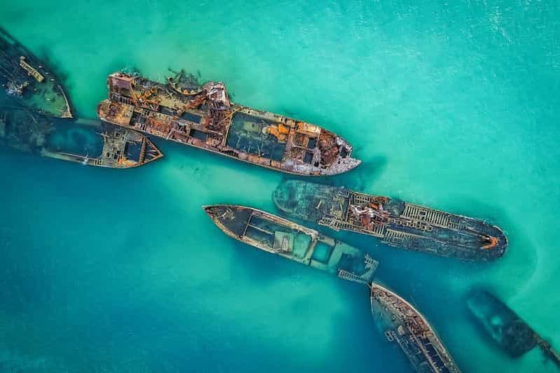 Billet Brisbane : billet aller-retour en ferry pour l'île Moreton et pass aventure d'une journée