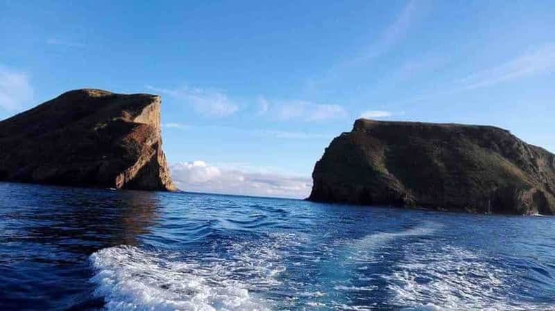 Billet Île de Terceira : Excursion en bateau à Ilhéu das Cabras + plongée en apnée