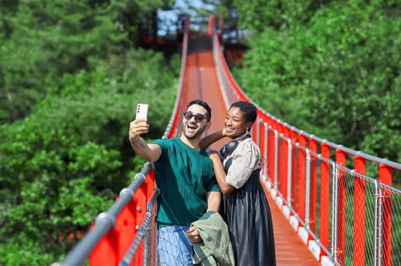 Billet Séoul : DMZ avec pont suspendu en option, vue sur la Corée du Nord