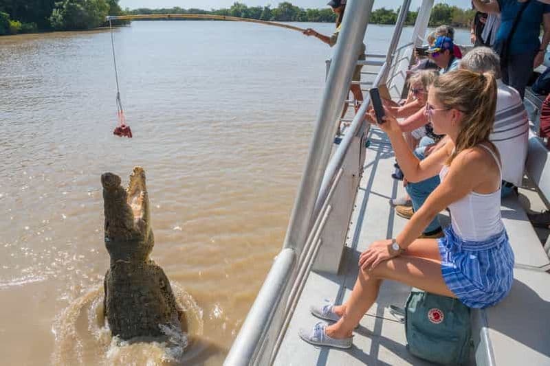 Billet Excursion panoramique d'une demi-journée à partir de Darwin (Jumping Crocodile Cruise)
