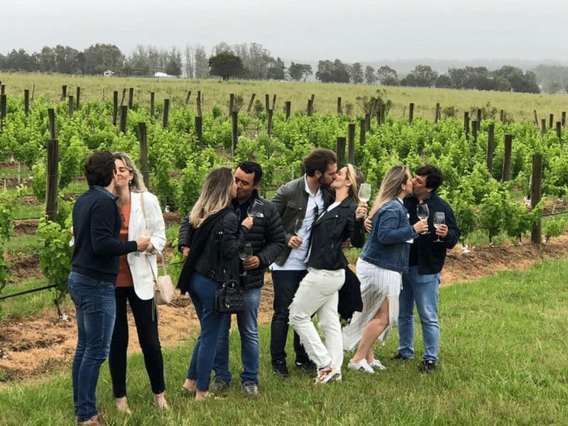 Billet San Francisco : Visite d'une demi-journée dans la Napa Valley avec dégustations de vins