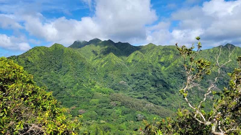 Billet Honolulu : Randonnée dans la forêt tropicale volcanique hawaïenne