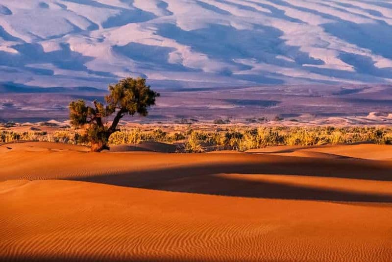 Billet Safari de 3 jours dans le désert à Merzouga