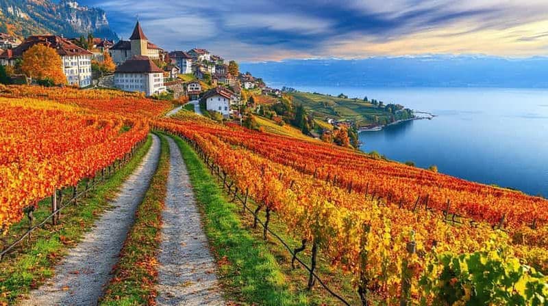 Billet Excursion privée d'une journée : Genève aux vignobles de Lavaux, Nyon et retour