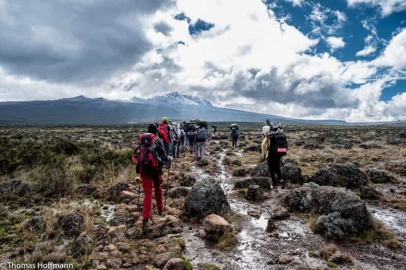 Billet Moshi : Randonnée d'une journée au Mont Kilimandjaro avec Mandara Hut Trek