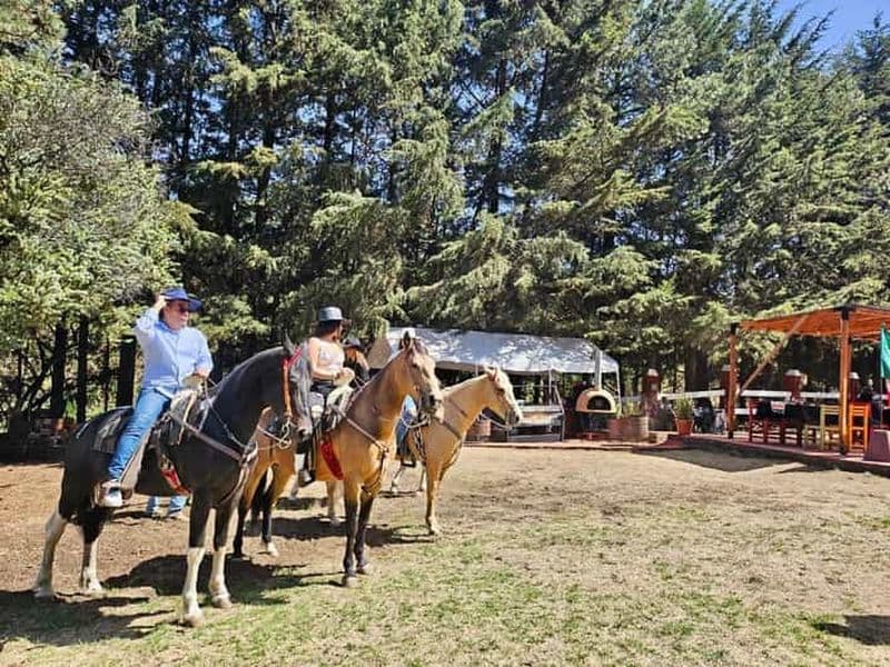 Billet Randonnée à cheval dans les montagnes et repas dans notre ranch