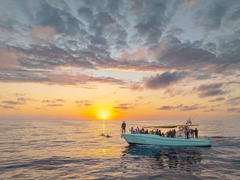 Billet Depuis Alcudia : Excursion en bateau pour observer les dauphins au lever du soleil