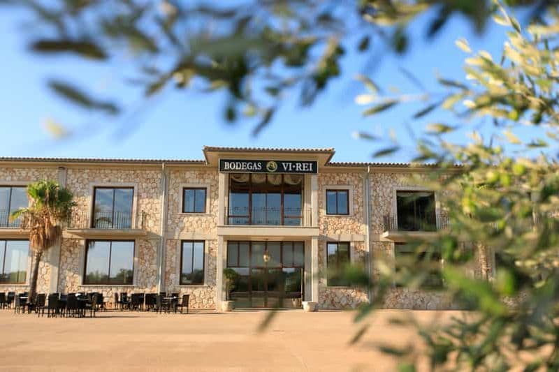 Billet Bodegas Vi Rei : visite du vignoble et du train avec dégustation de vin