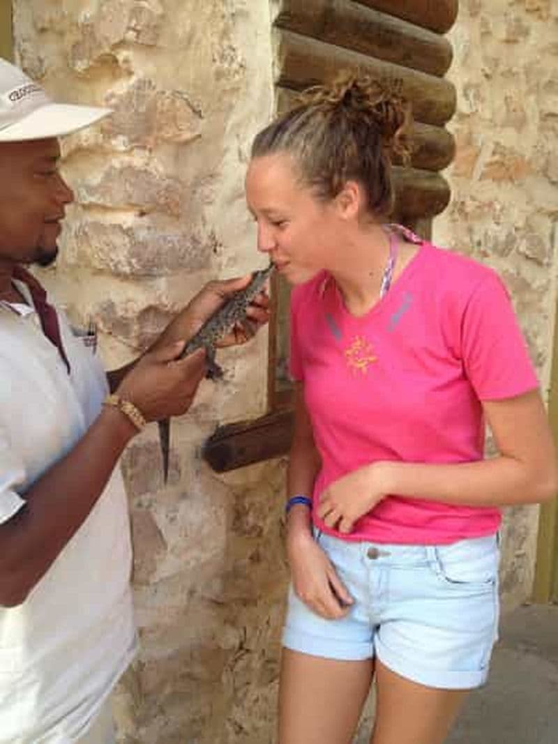 Billet Visite guidée du marché de Midoun et du parc aux crocodiles de Djerba.