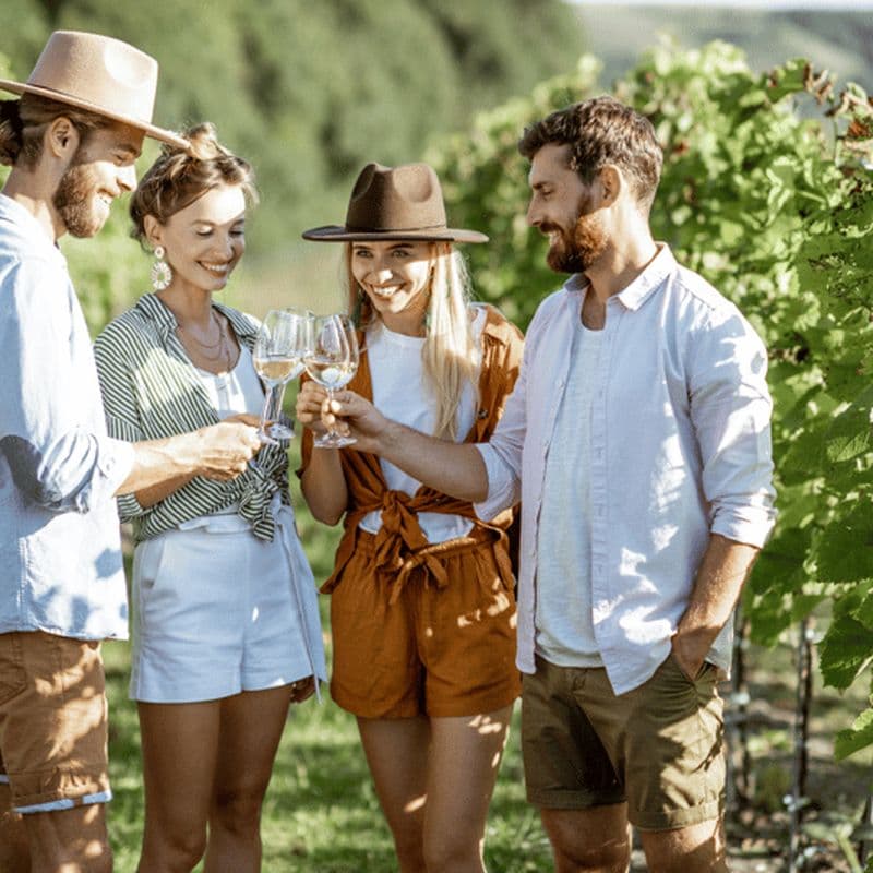 Billet Depuis Berat : Visite guidée des vignobles avec transferts et dégustations