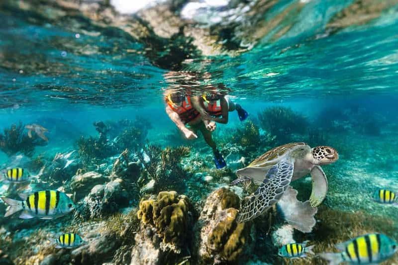 Billet Puerto Morelos : Excursion de plongée avec masque et tuba sur le récif avec déjeuner sur la plage