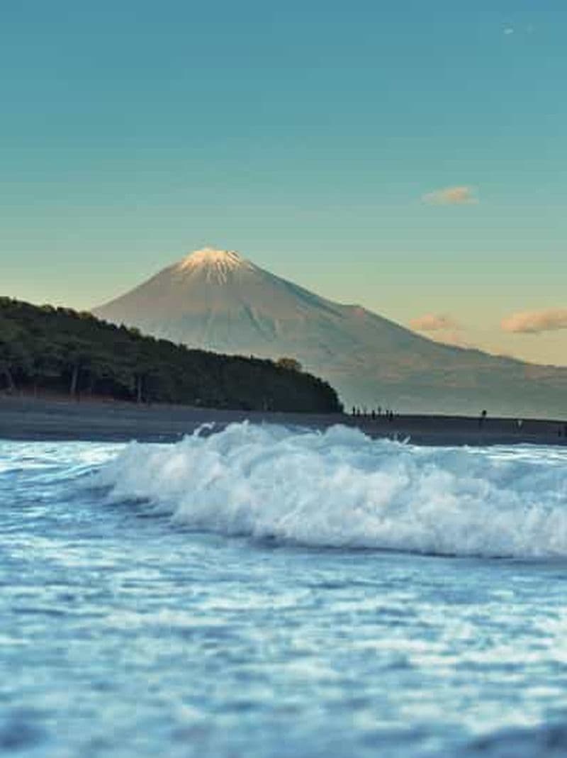 Billet Shizuoka : visite privative de 10 heures et thé japonais