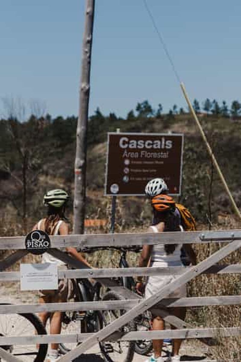 Billet Sintra : Des paysages incroyables à découvrir en vélo électrique