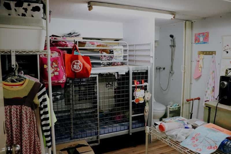 Billet Hong Kong : visite guidée à pied sur le thème « Le côté obscur de Hong Kong : les maisons-cages ».