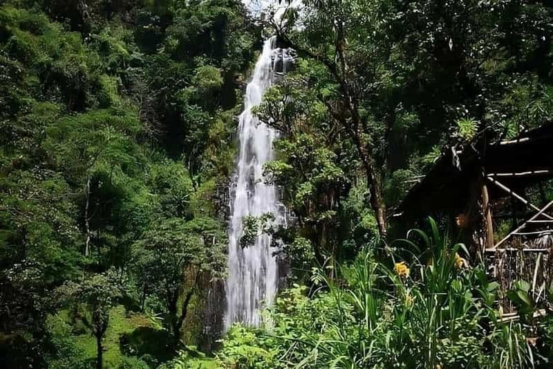 Billet Excursion d'une journée à la cascade de Ndoro avec bâton de randonnée