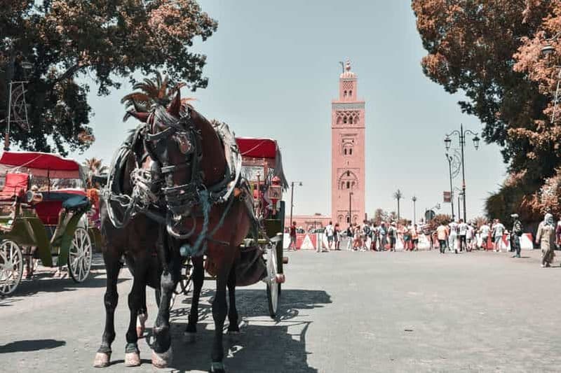 Billet Excursion d'une journée à Marrakech, médina et souk, au départ d'Agadir