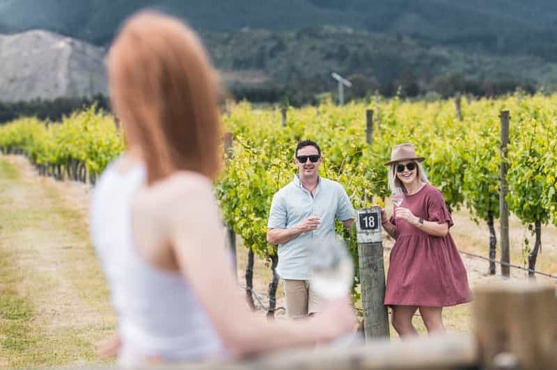 Billet Marlborough : Visite de vignobles avec dégustations et déjeuner à 2 plats