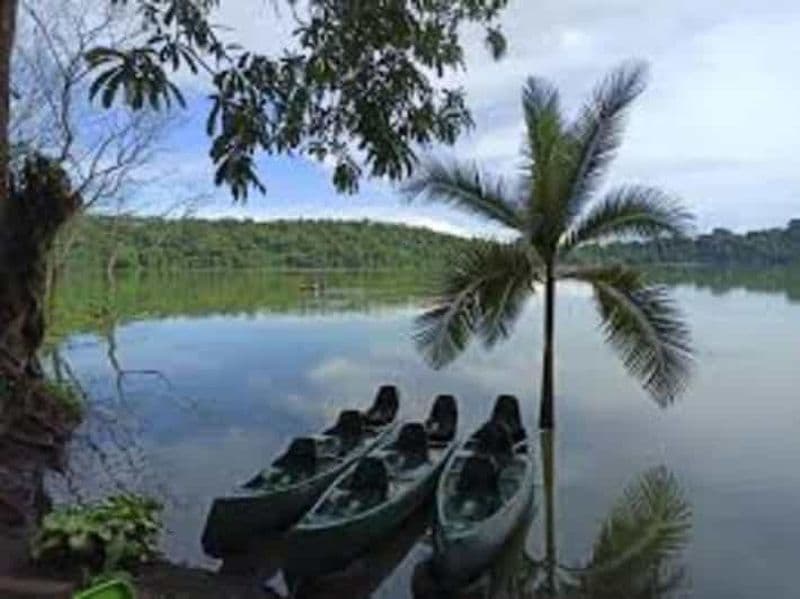 Billet Excursion d'une journée à Duluti Découvrez les merveilles du paysage et la culture locale".