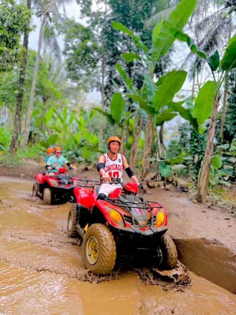 Billet Chute d'eau d'Ubud, plantation de café, et VTT.