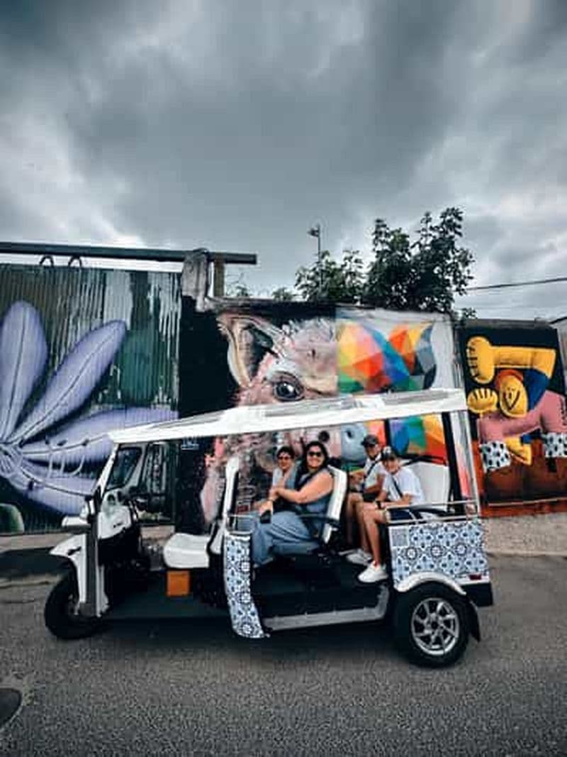 Billet Lisbonne avec Tukxi : Street Art Lovers by Tuktuk