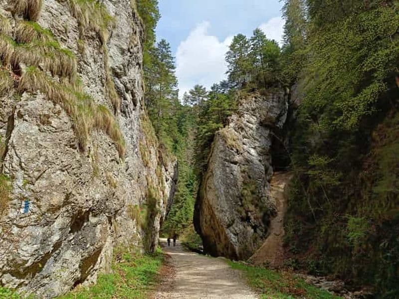 Billet Brașov : Randonnée privée à Piatra Craiului jusqu'à la cabane Curmatura