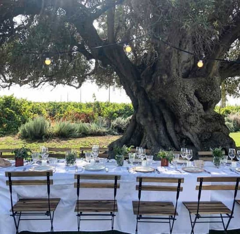 Billet Visite des vignobles de l'Algarve et déjeuner d'un agriculteur dans un domaine viticole