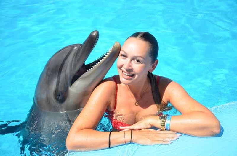 Billet Hurghada : Baignade privée dans le monde des dauphins avec prise en charge