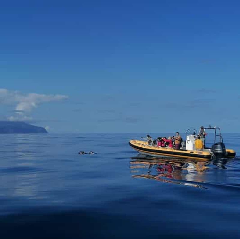 Billet Passeios Turísticos : Excursion en bateau à Corvo