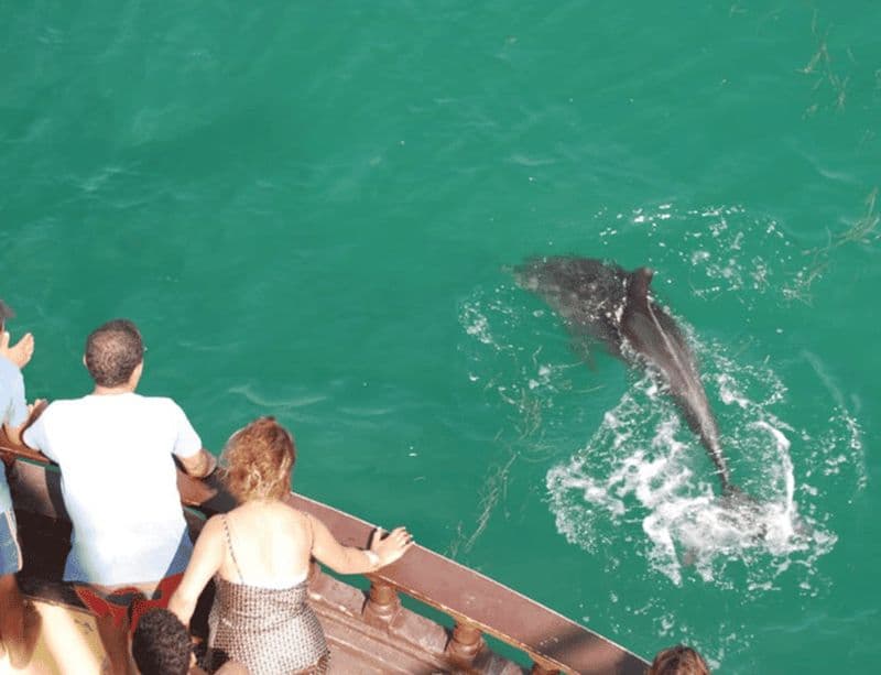 Billet Djerba : Excursion en bateau pirate sur l'île de Flamingo avec déjeuner