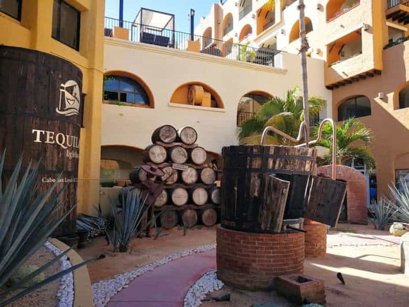 Billet Tour en bateau à Cabo San Lucas et visite de l'Arche en transparence