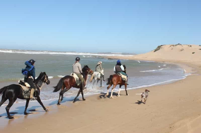 Billet Au départ d'Essaouira : 1 heure de randonnée à cheval