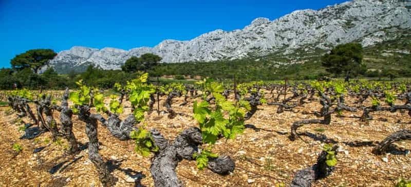 Billet Coteaux d'Aix : Visite œnologique de Sainte-Victoire